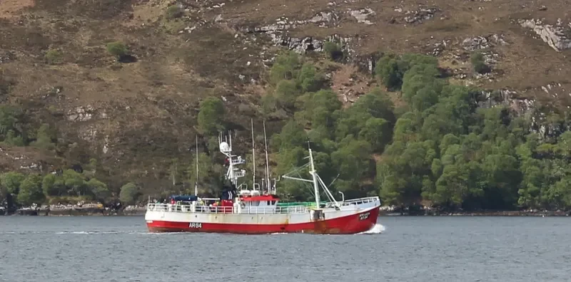 SIR MILES General Cargo IMO 5242964 photo 4