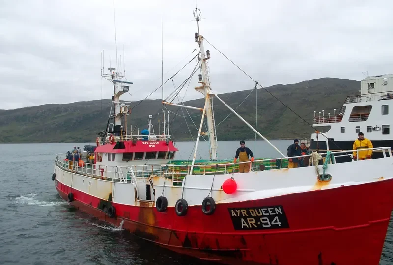SIR MILES General Cargo IMO 5242964 photo 9