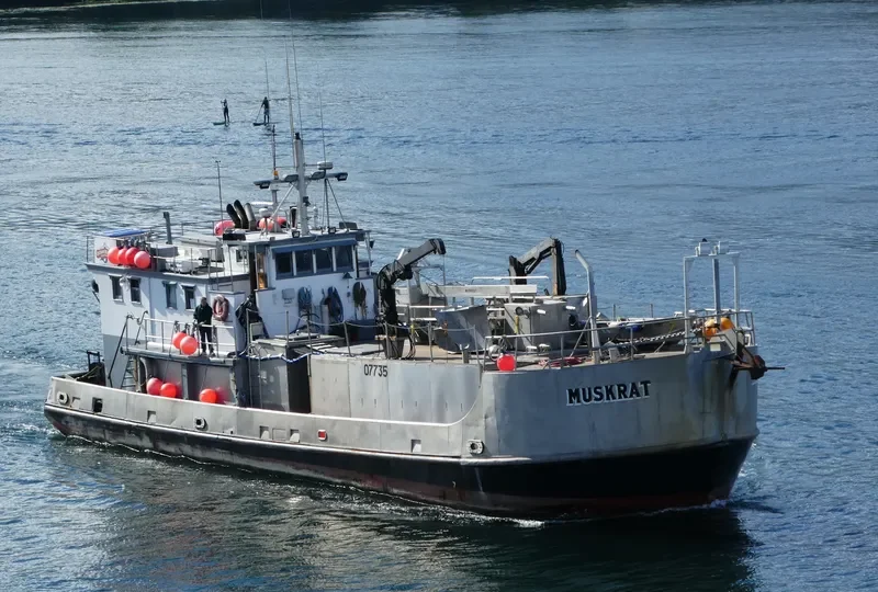 MUSKRAT General Cargo IMO 5244259 photo 5