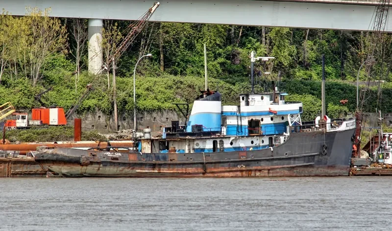 AUDRY GAIL General Cargo IMO 5244974