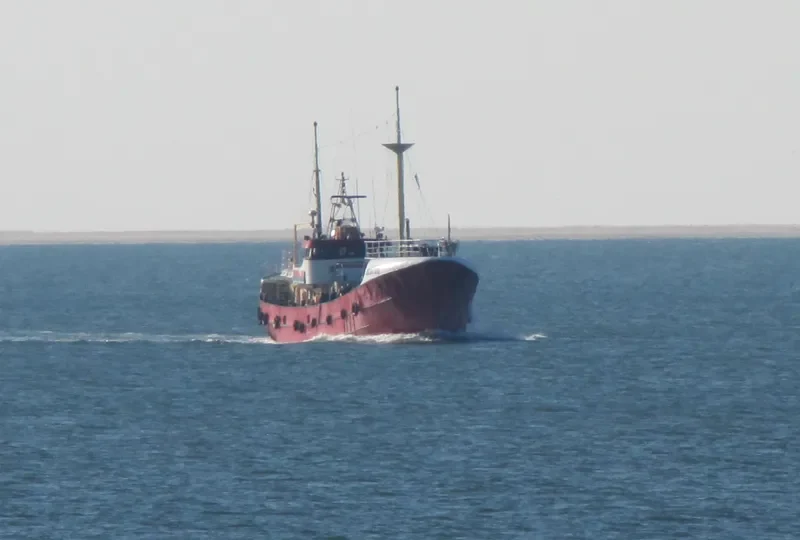 NESTOR General Cargo IMO 5249625 photo 2