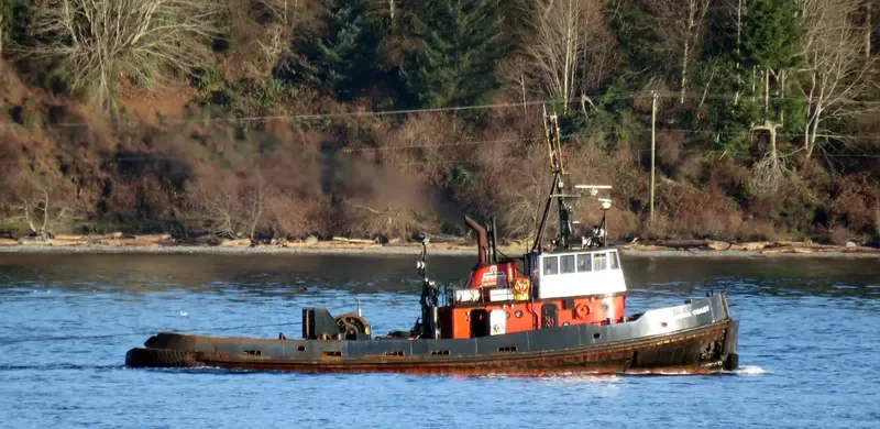 SKEENA COAST General Cargo IMO 5249871 photo 8