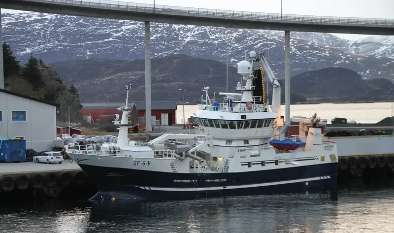 RINGBAS General Cargo IMO 5252555 photo 9