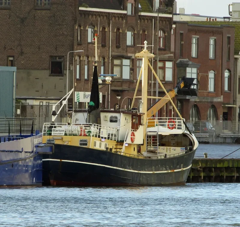 MARION General Cargo IMO 5254448 photo 2