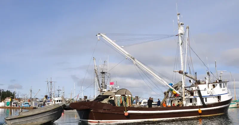 PACIFIC HARVESTER General Cargo IMO 5268231 photo 2