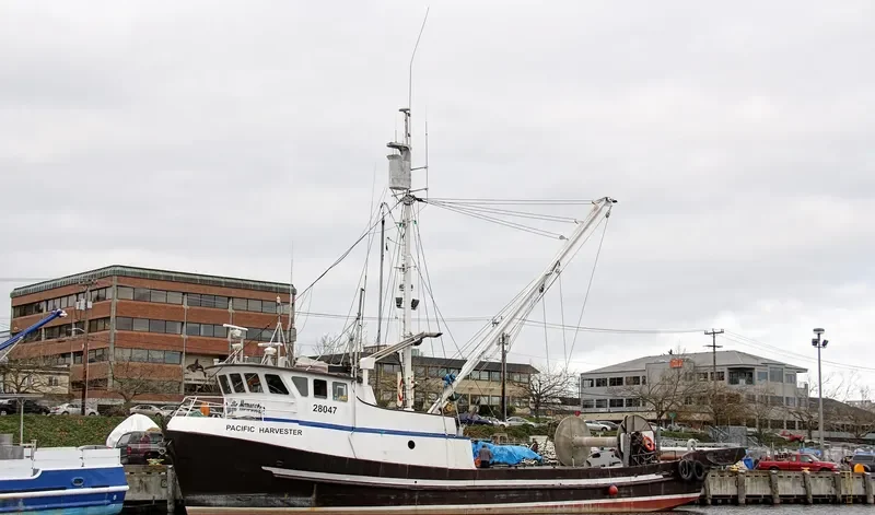 PACIFIC HARVESTER General Cargo IMO 5268231 photo 3