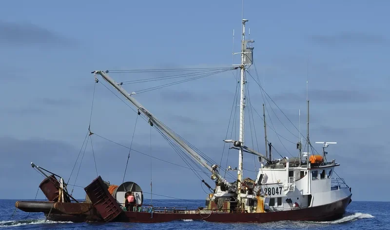 PACIFIC HARVESTER General Cargo IMO 5268231 photo 8
