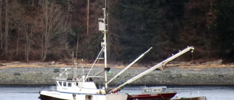 PACIFIC HARVESTER General Cargo IMO 5268231 photo 10