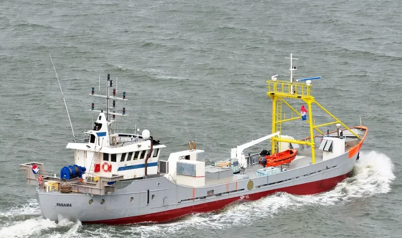 DELTA QUEEN II General Cargo IMO 5272127