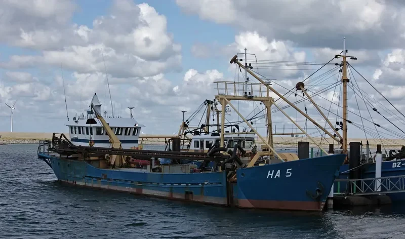 DELTA QUEEN II General Cargo IMO 5272127 photo 6