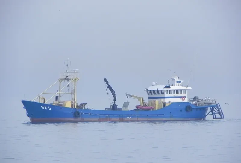 DELTA QUEEN II General Cargo IMO 5272127 photo 10