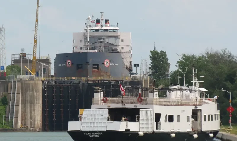 PELEE ISLANDER Passenger Ship IMO 5273274 photo 7
