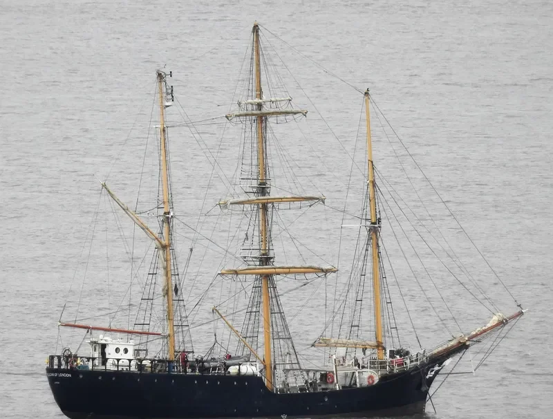 PELICAN OF LONDON General Cargo IMO 5273339 photo 2