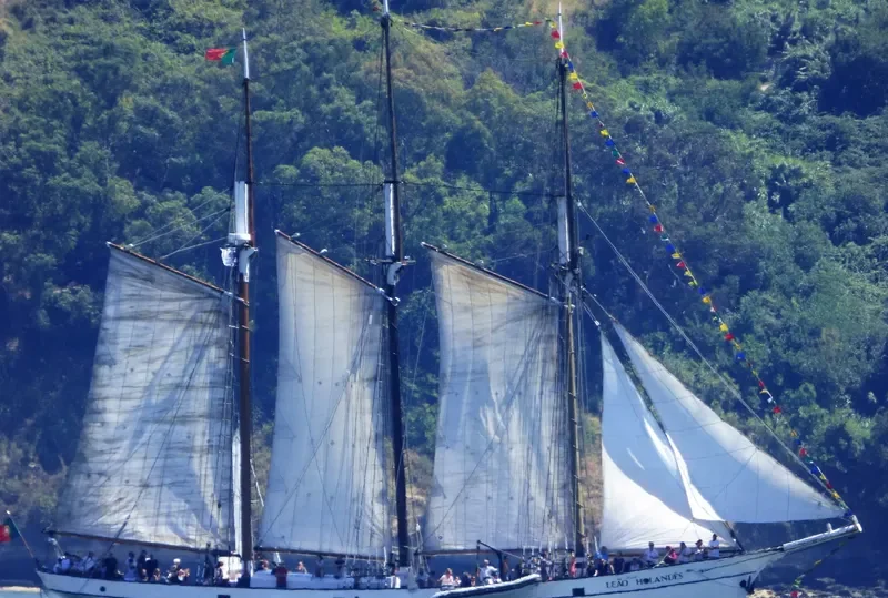 LEAO HOLANDES General Cargo IMO 5276082 photo 5
