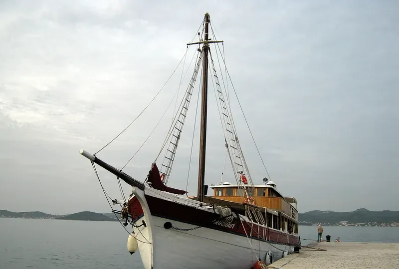 ARGONAUT Passenger Ship IMO 5290507 photo 2