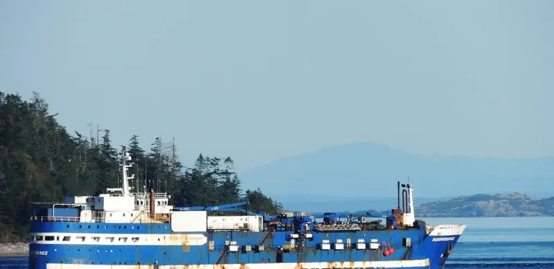 INDEPENDENCE General Cargo IMO 5290911 photo 4