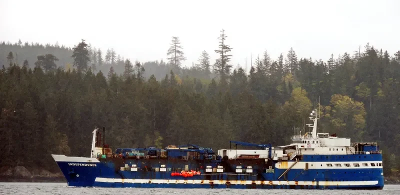 INDEPENDENCE General Cargo IMO 5290911 photo 7