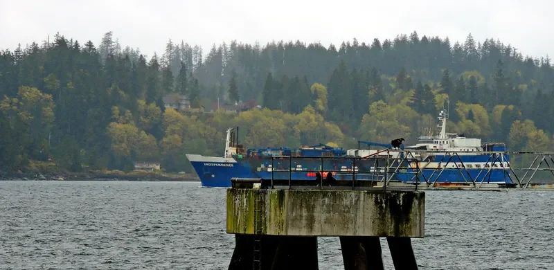 INDEPENDENCE General Cargo IMO 5290911 photo 8