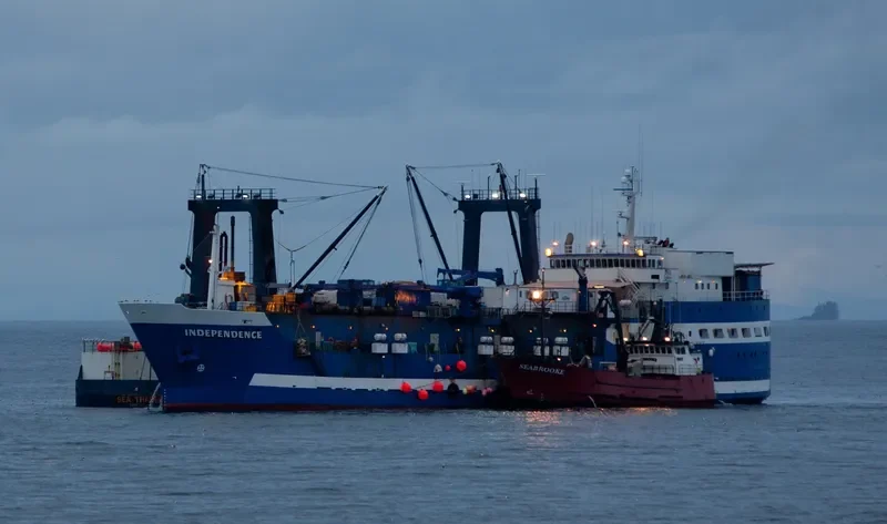 INDEPENDENCE General Cargo IMO 5290911 photo 9