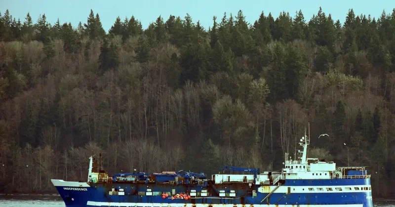 INDEPENDENCE General Cargo IMO 5290911 photo 10