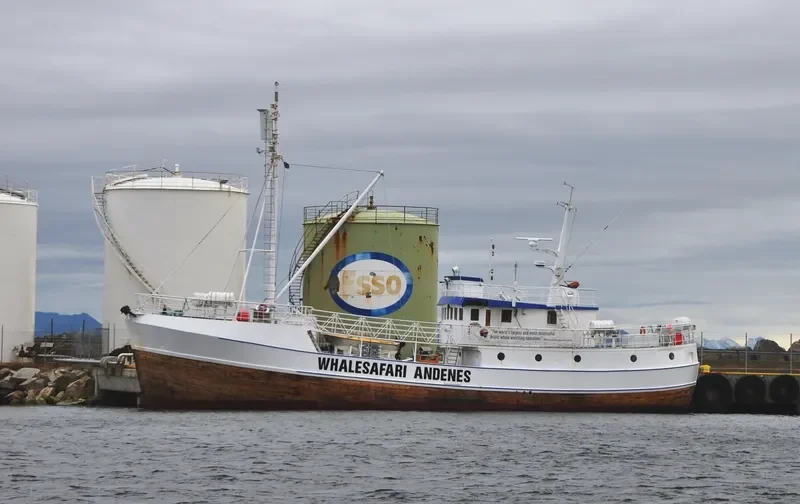 REINE Passenger Ship IMO 5292440