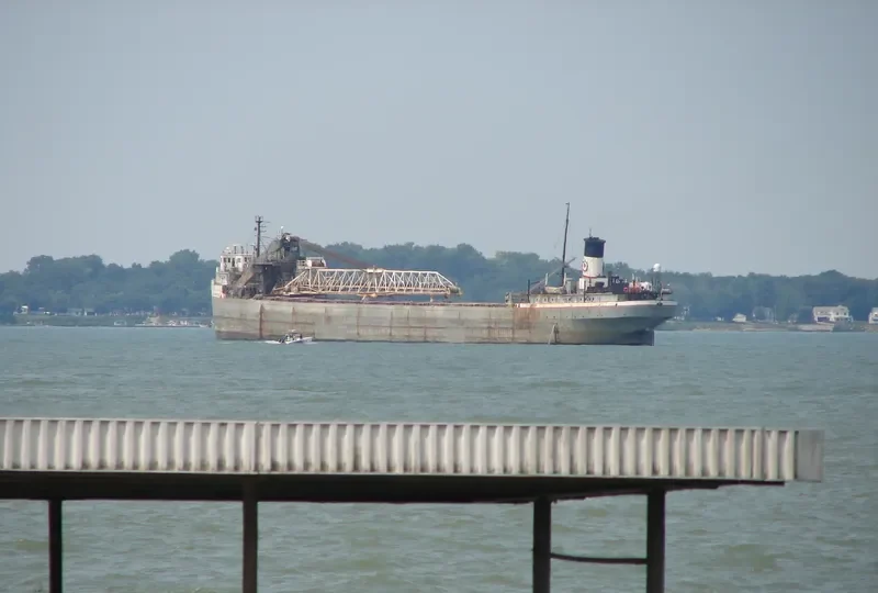 MANISTEE Bulk Carrier IMO 5294307 photo 6