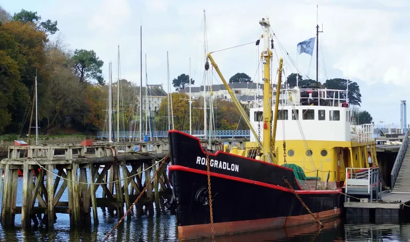 ROI GRADLON General Cargo IMO 5298781