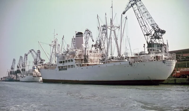 ELLITSA General Cargo IMO 5299694