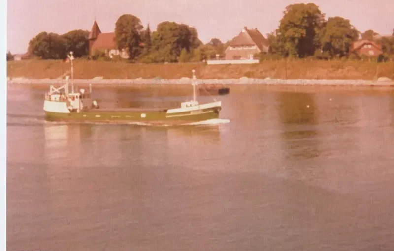 GOLD FISH II General Cargo IMO 5301978 photo 3