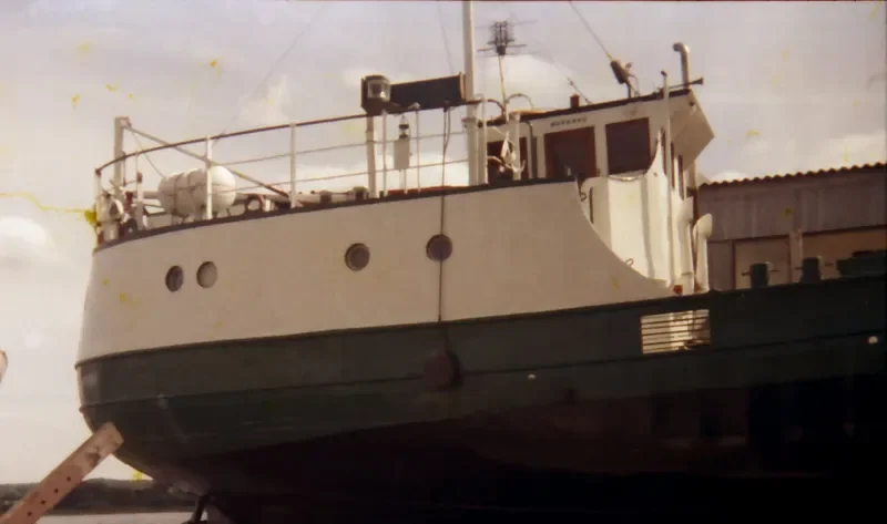 GOLD FISH II General Cargo IMO 5301978 photo 7