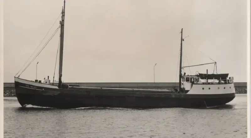 GOLD FISH II General Cargo IMO 5301978 photo 8