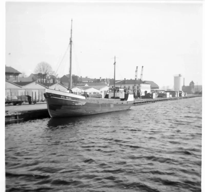 GOLD FISH II General Cargo IMO 5301978 photo 10