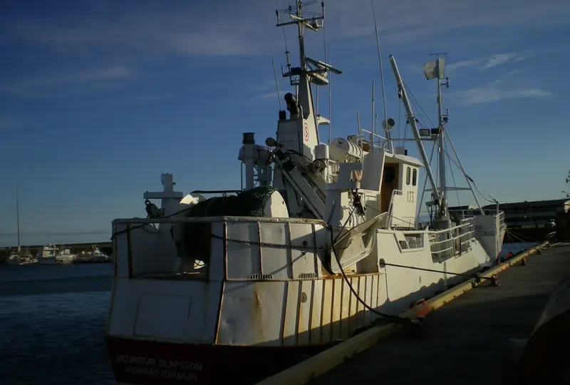 SIGURDUR OLAFSSON General Cargo IMO 5302257 photo 3