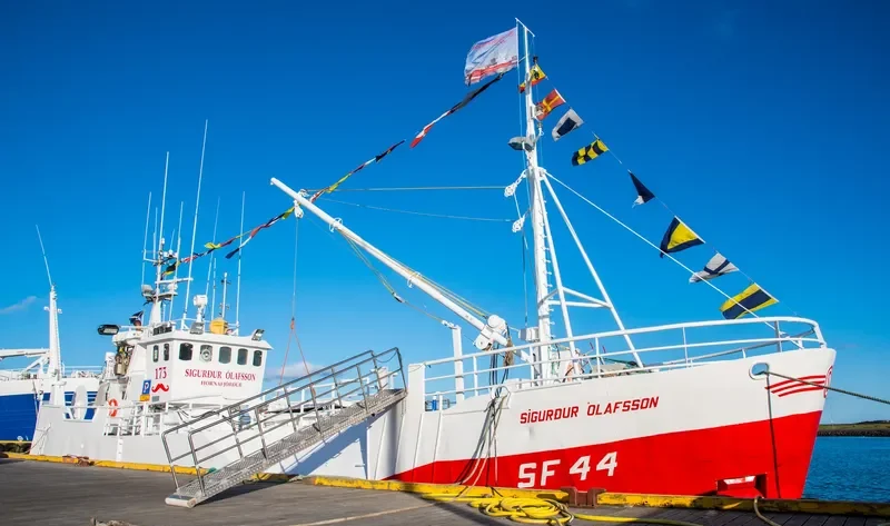 SIGURDUR OLAFSSON General Cargo IMO 5302257 photo 6