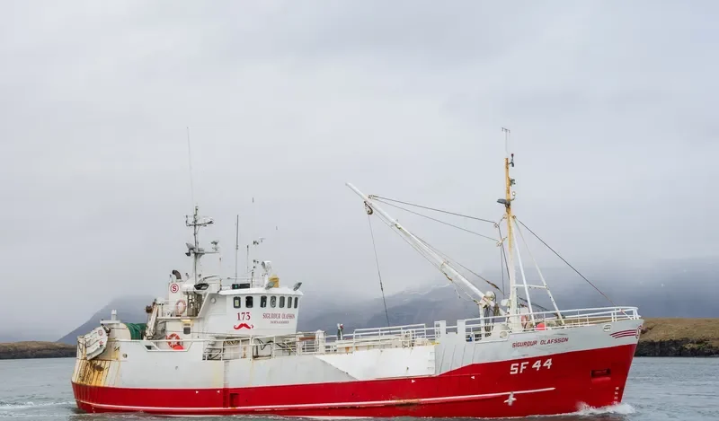 SIGURDUR OLAFSSON General Cargo IMO 5302257 photo 7