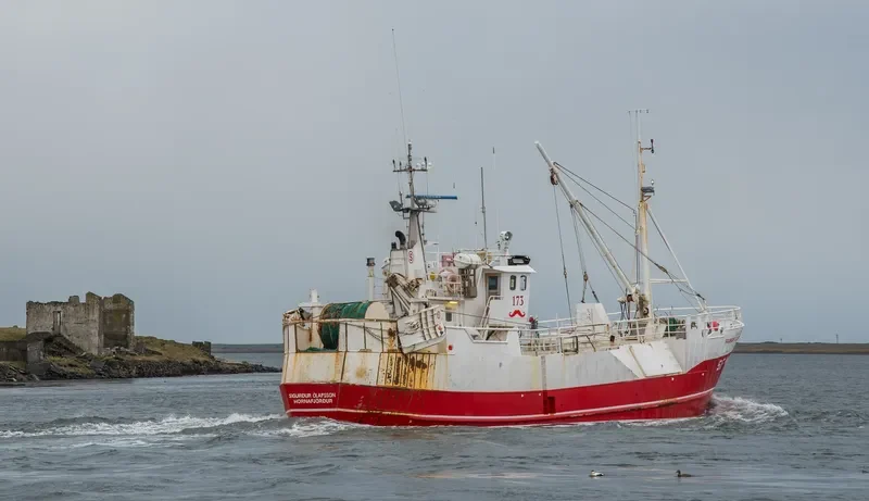 SIGURDUR OLAFSSON General Cargo IMO 5302257 photo 8