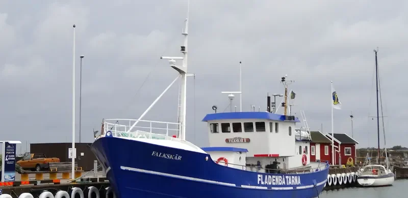 FALKSKAR II General Cargo IMO 5305302
