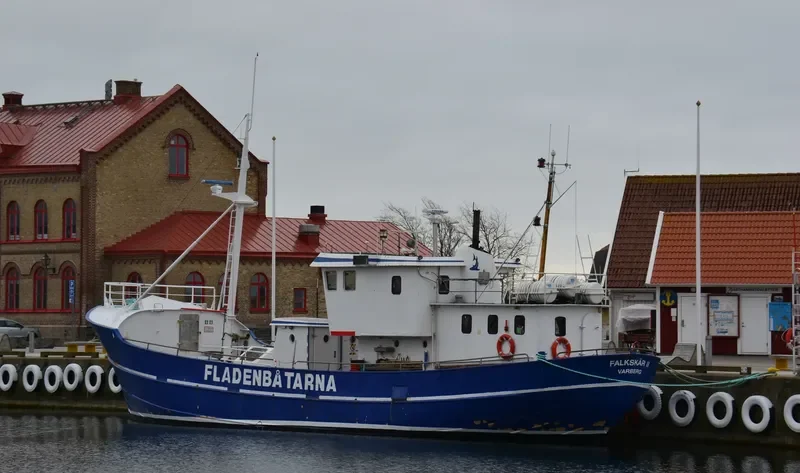 FALKSKAR II General Cargo IMO 5305302 photo 3