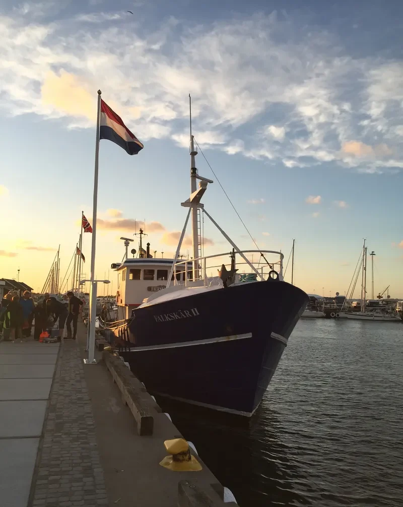 FALKSKAR II General Cargo IMO 5305302 photo 5