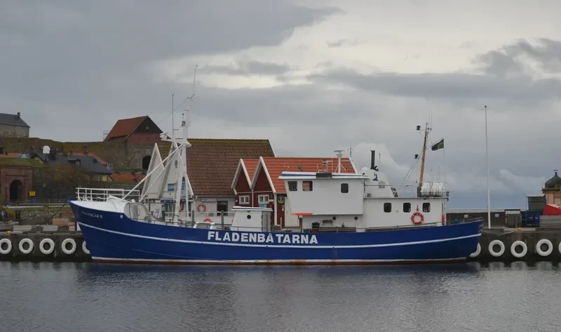 FALKSKAR II General Cargo IMO 5305302 photo 6