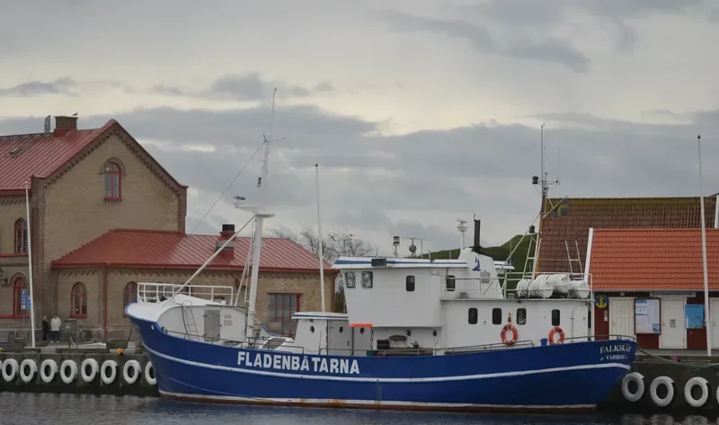 FALKSKAR II General Cargo IMO 5305302 photo 8