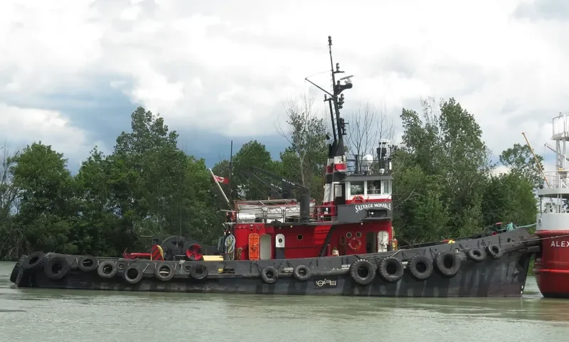 SALVAGE MONARCH General Cargo IMO 5308275 photo 5