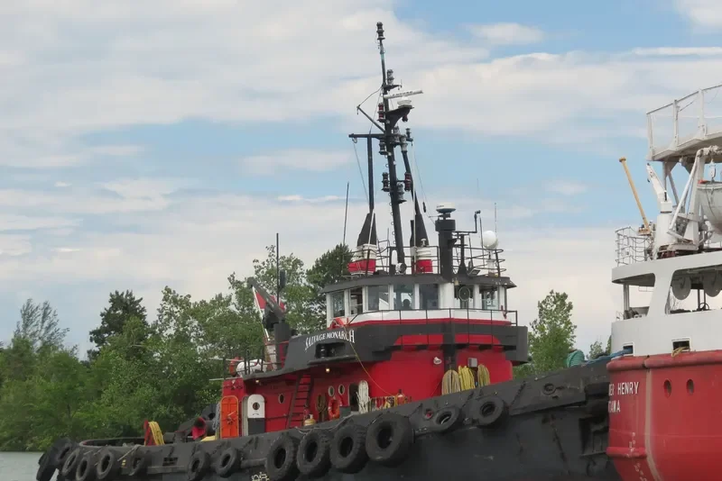 SALVAGE MONARCH General Cargo IMO 5308275 photo 6