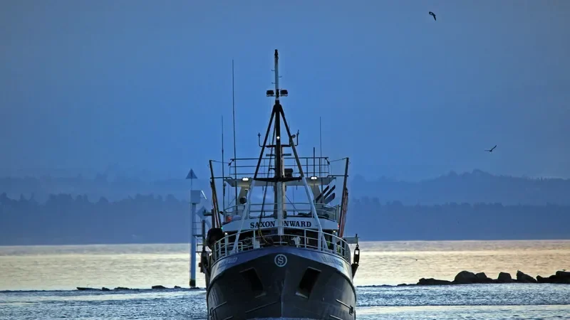 SAXON ONWARD General Cargo IMO 5314987 photo 4