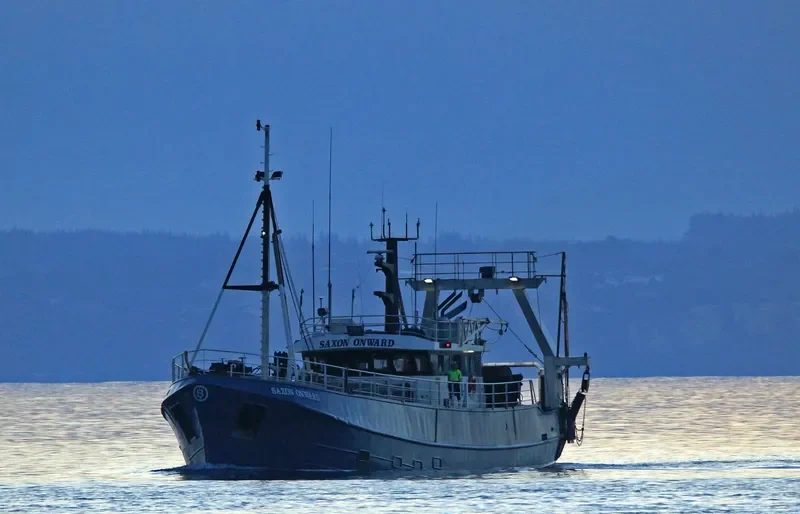 SAXON ONWARD General Cargo IMO 5314987 photo 5