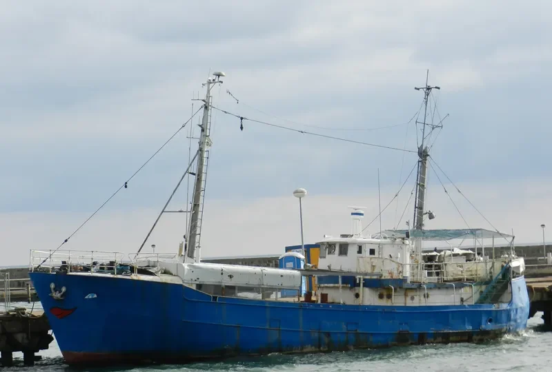 SCHWERTWAL General Cargo IMO 5315694
