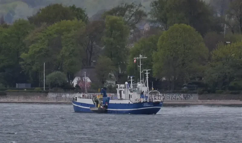 SCHALL General Cargo IMO 5317305 photo 4