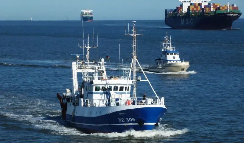 SEEWOLF General Cargo IMO 5317410