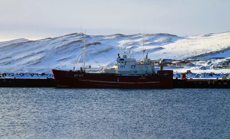 FONIX General Cargo IMO 5319690 photo 2