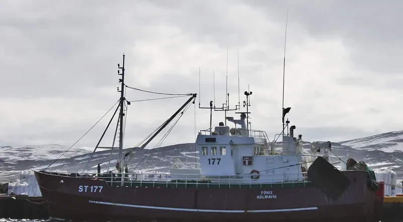 FONIX General Cargo IMO 5319690 photo 3